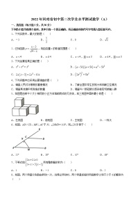 2022年河南省虞城县九年级中考第二次初中学业水平测试数学试题（A卷）