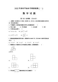 山东省邹城市2022年初中学业水平模拟检测（一模）数学试题