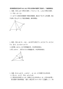 四川省渠县安北中学2021-2022学年九年级中考数学三轮复习：三角形的综合