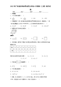 2022年广东省深圳市坪山区九年级4月模拟（二模）数学试题(word版含答案)