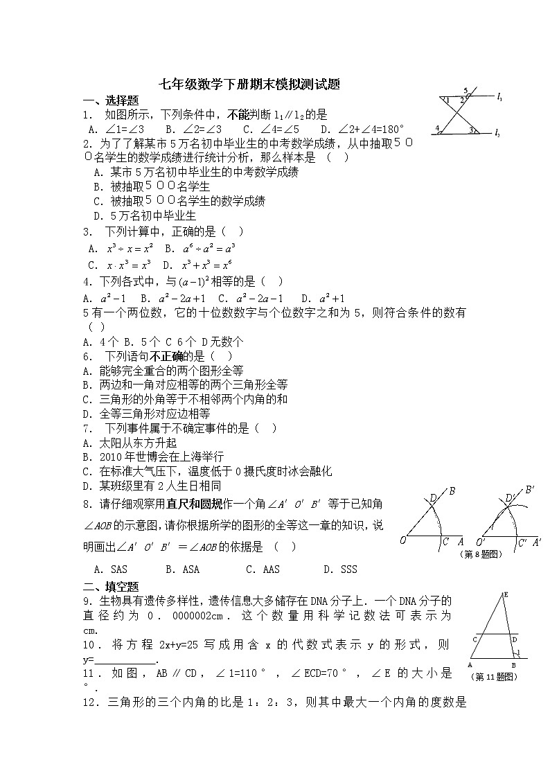 北师大版七下数学 合肥一中 2020-2021学年期末试题 (含答案)教案01