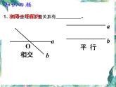 第二章相交线与平行线复习课件-2021-2022学年北师大版数学七年级下册