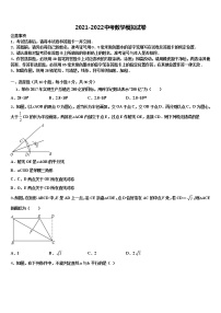 2021-2022学年广东省深圳市南山区实验教育集团重点中学中考押题数学预测卷含解析