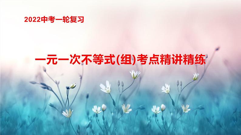 2022年中考数学一轮复习 一元一次不等式(组)考点精讲精练课件01