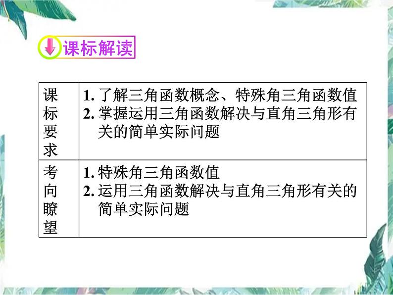 2022年九年级中考数学一轮复习三角函数复习课件第2页