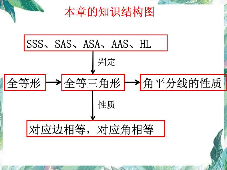 2022年中考数学复习 全等三角形中考复习 课件04