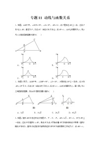 专题11  动线与函数关系-冲刺2022年中考数学选填题压轴题专项突破（全国通用）