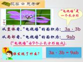 苏科版七年级下册数学课件 9.1单项式乘单项式