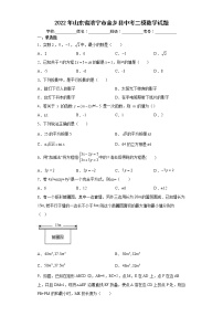 2022年山东省济宁市金乡县中考二模数学试题(word版含答案)