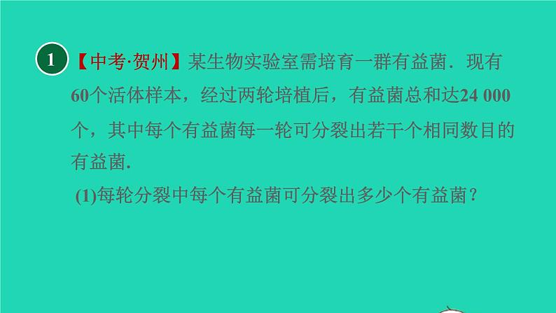 沪科版八年级数学下册第17章一元二次方程17.5一元二次方程的应用目标二传播问题习题课件03