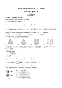 2022年河南省平顶山市九年级下学期中考二模数学试题(word版无答案)