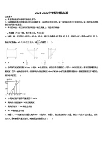 2021-2022学年湖北省黄石市富池片区重点中学中考二模数学试题含解析