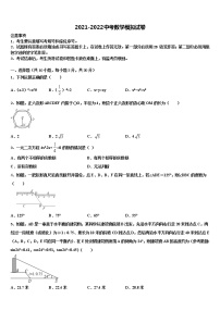 2021-2022学年江苏省海安县城南实验中学中考数学适应性模拟试题含解析