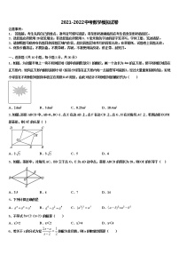 2021-2022学年湖北省恩施市龙凤镇民族初级中学中考数学仿真试卷含解析