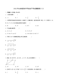 2022年云南省初中学业水平考试模拟卷（1）(word版不含答案)