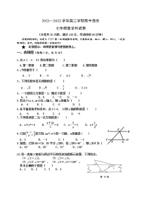 广东省东莞市竹溪中学2021-2022学年七年级下学期期中自查数学试题（无答案）