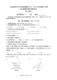 江苏省苏州中学伟长实验2021-2022学年七年级下学期数学期中试卷（线上）（无答案）