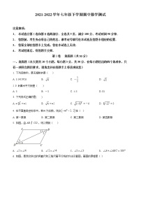 山西省大同市2021-2022学年七年级下学期期中数学试题