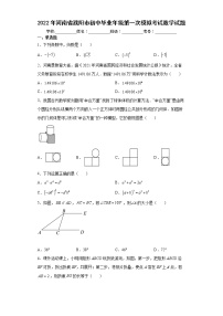 2022年河南省濮阳市初中毕业年级第一次模拟考试数学试题(word版含答案)