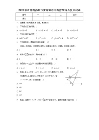 2022年江苏省苏州市张家港市中考数学综合复习试卷(word版含答案)