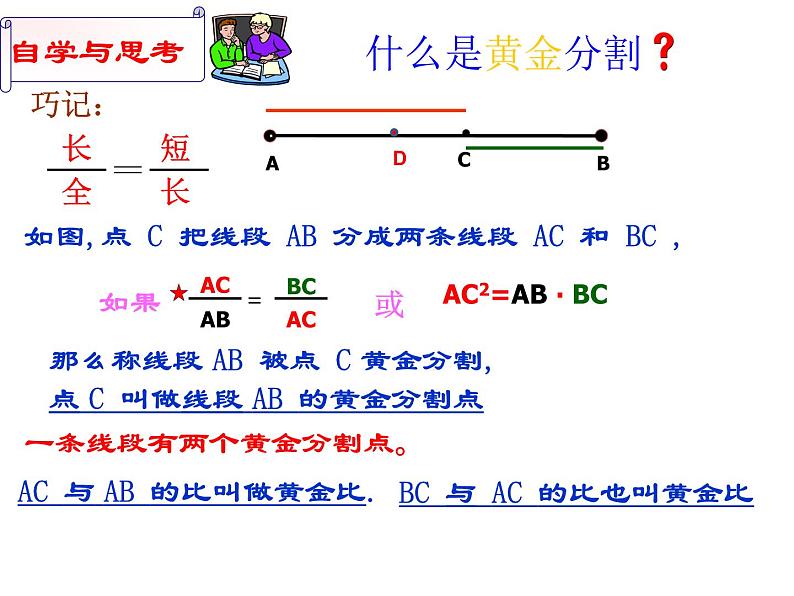 鲁教版（五四制）八年级下册数学 9.6黄金分割 课件04