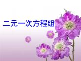 苏科版七年级下册数学课件 10.2二元一次方程组