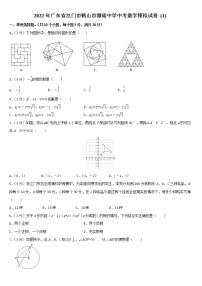 2022年广东省江门市鹤山市雅瑶中学中考数学模拟试卷 (1)