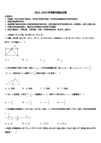 2021-2022学年江苏省南京溧水区中考数学模拟精编试卷含解析