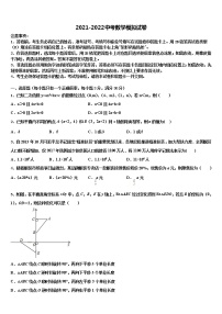 2021-2022学年江苏省盐城市东台实验中考数学模拟精编试卷含解析