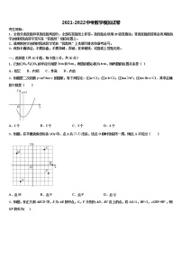 2021-2022学年山西省晋南地区中考数学押题试卷含解析