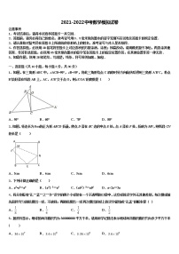 2021-2022学年徐州一中学云龙实验校中考联考数学试卷含解析