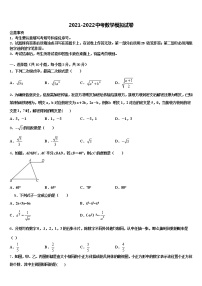 2022届北京市第一五九中学中考联考数学试题含解析