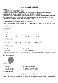 2022届北京师大附属实验中学中考数学模试卷含解析