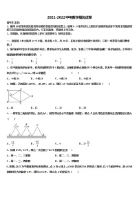 2022届广东省惠阳市马安中学初中数学毕业考试模拟冲刺卷含解析