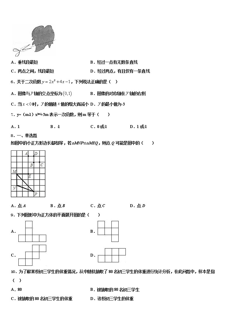 2022届广西浦北县市级名校中考数学对点突破模拟试卷含解析02