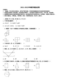 2022届广东省深圳市翠园初级中学中考数学模拟精编试卷含解析