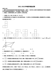 2022届广东省华师附中实验校中考数学全真模拟试卷含解析