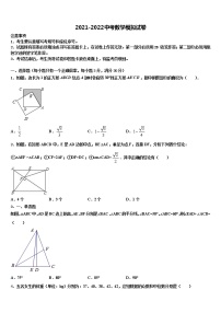 2022届湖南省邵阳市郊区中考数学仿真试卷含解析