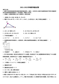 2022届湖北省恩施州恩施市达标名校中考数学全真模拟试题含解析