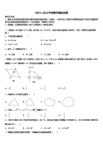 2022届湖南省长沙麓山国际实验校中考联考数学试卷含解析