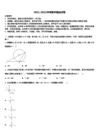 2022届湖南省长沙市望城县中考二模数学试题含解析