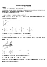 2022届揭阳市重点中学中考数学全真模拟试题含解析