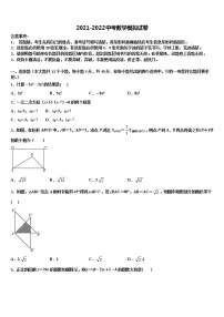 2022届宁夏吴忠市红寺堡二中学第一期期重点中学中考一模数学试题含解析