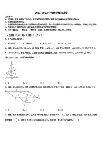 2022届山东省潍坊市寿光市、安丘市中考数学模拟预测题含解析