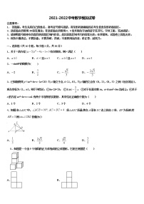 2022年安徽省宿州市埇桥区教育集团初中数学毕业考试模拟冲刺卷含解析