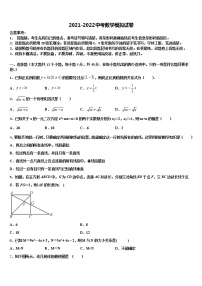 2022年湖北省宜昌市当阳市中考五模数学试题含解析