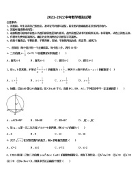 2022年湖南省岳阳市汨罗市弼时片区重点名校中考数学适应性模拟试题含解析