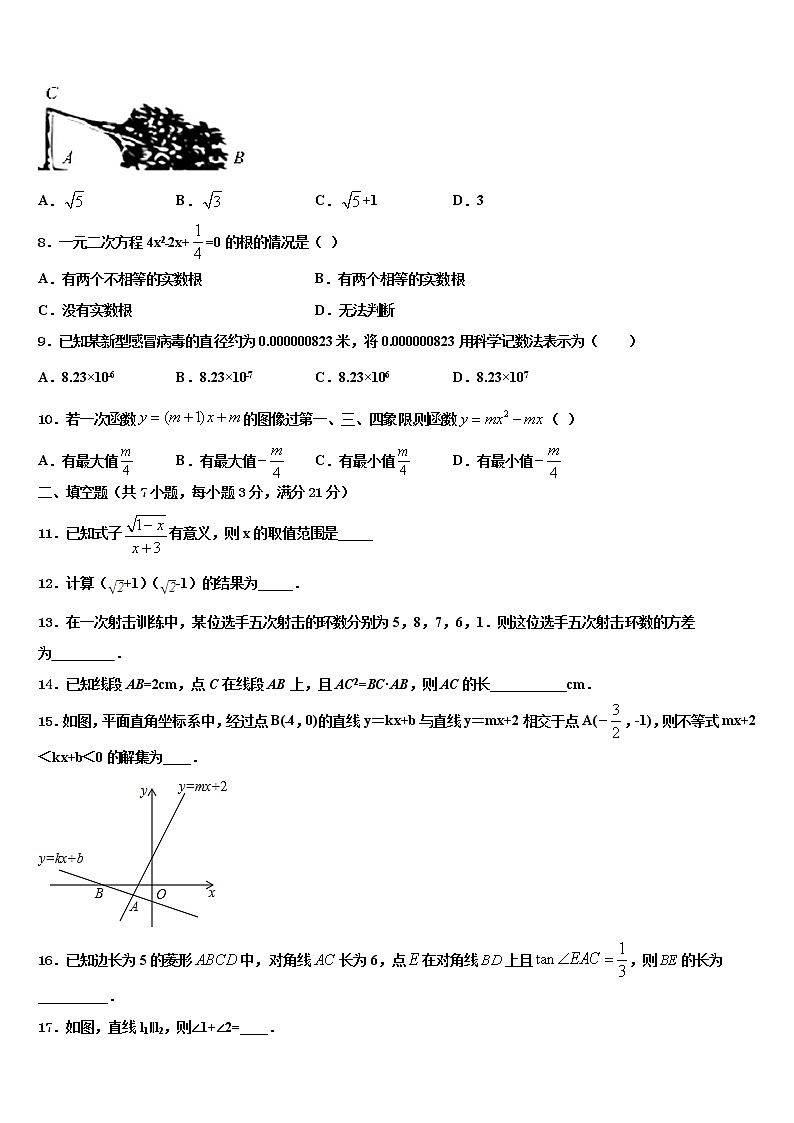2022年山东省临朐市中考数学适应性模拟试题含解析02