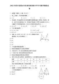 2022年四川省眉山市东坡实验初级中学中考数学模拟试卷（含解析）