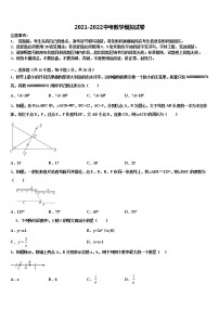 2022年上海市青浦区达标名校中考数学模拟精编试卷含解析